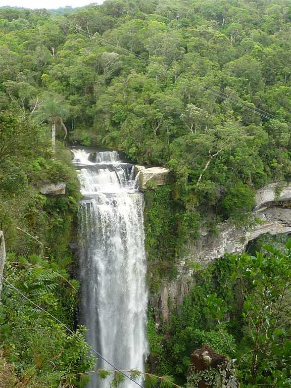 [resized_ValeEuropeu2009-117.jpg]