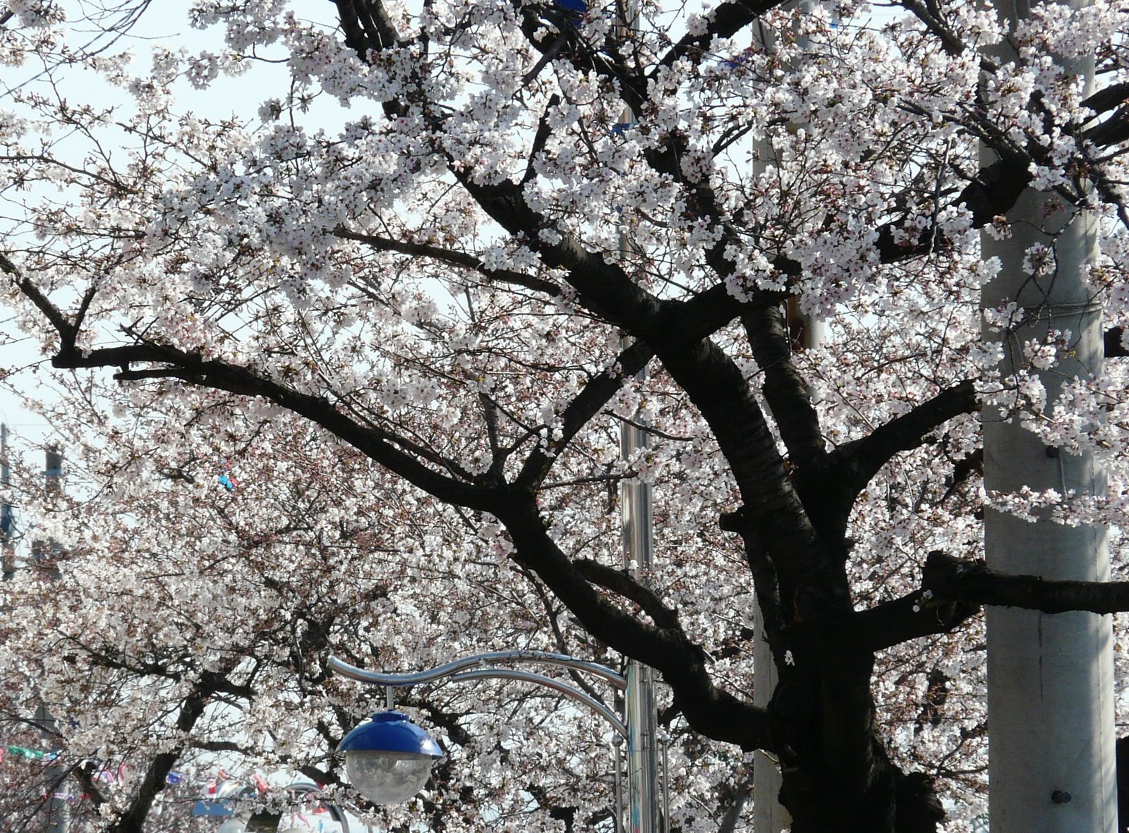 [P1080334.JPG]