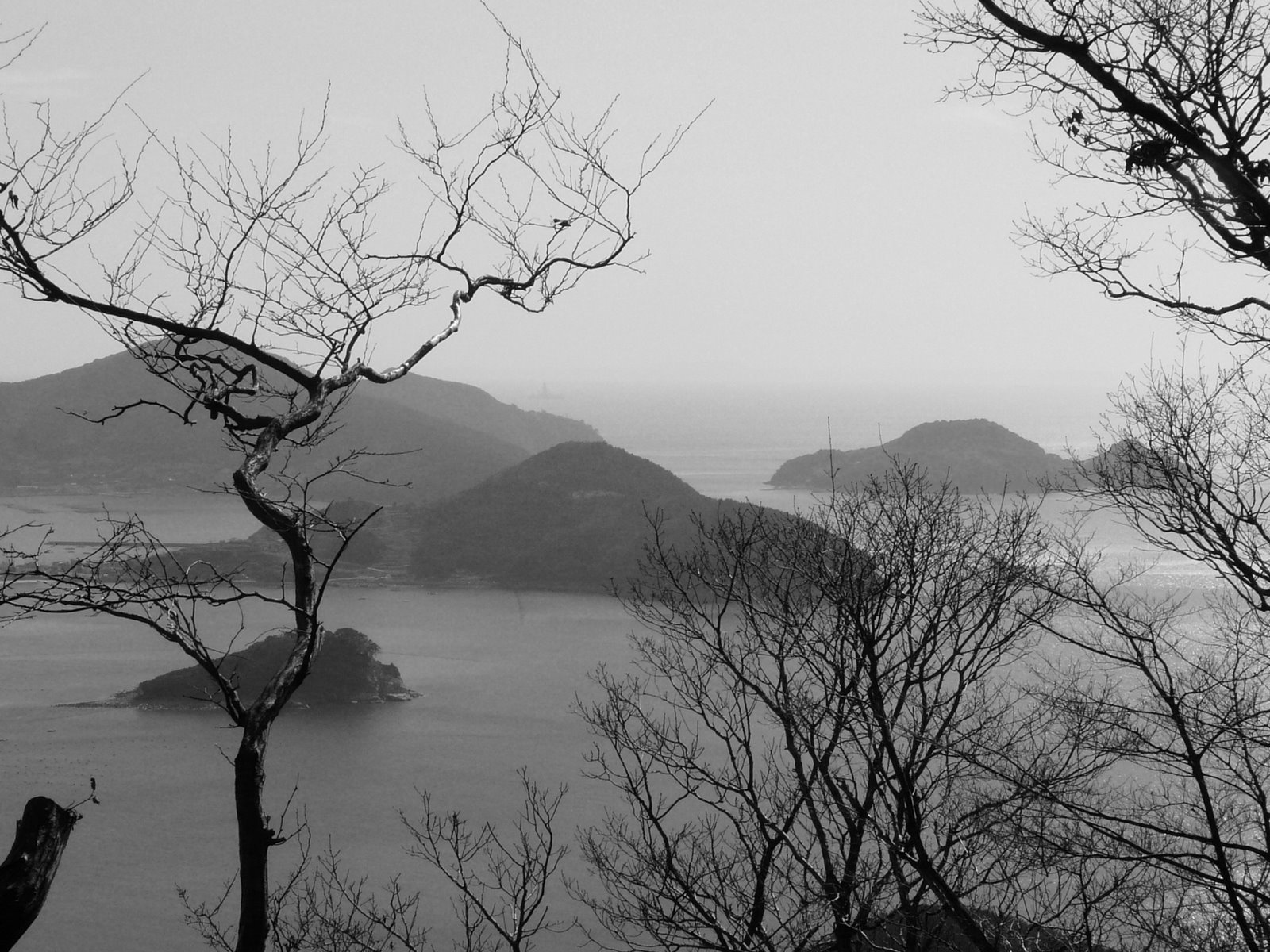 [P1070384.JPG]