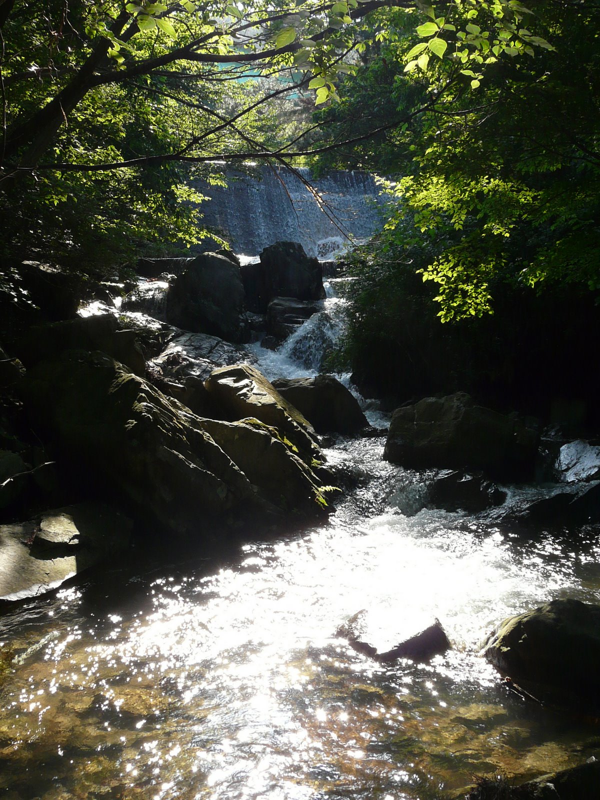 [P1090807.JPG]