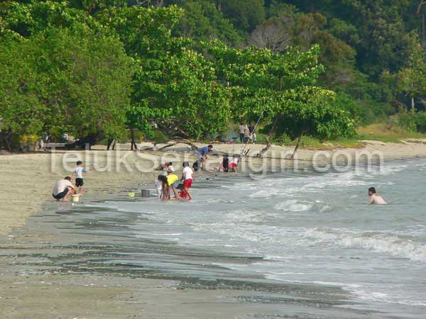 PantaiPantai di Malaysia Teluk Senangin PantaiPantai di Malaysia Teluk Senangin