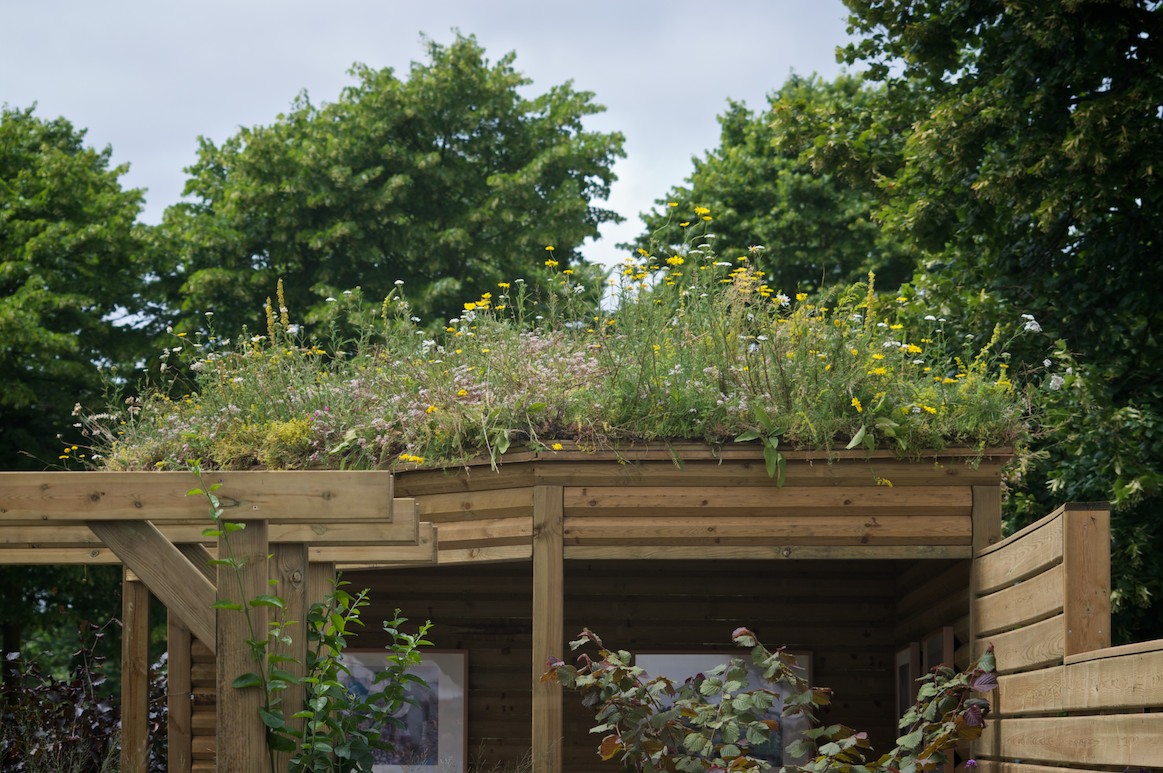 Photographer's Garden Green Roofs A Guide