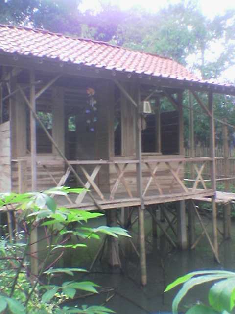 Berlibur di  rumah kayu di atas kolam  ikan Vacationing in 
