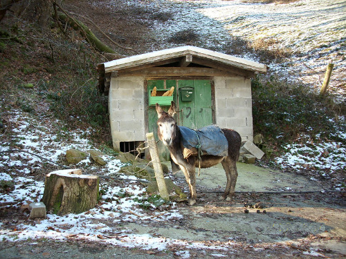  Mini vacaciones de Navidad en Cantabria 
