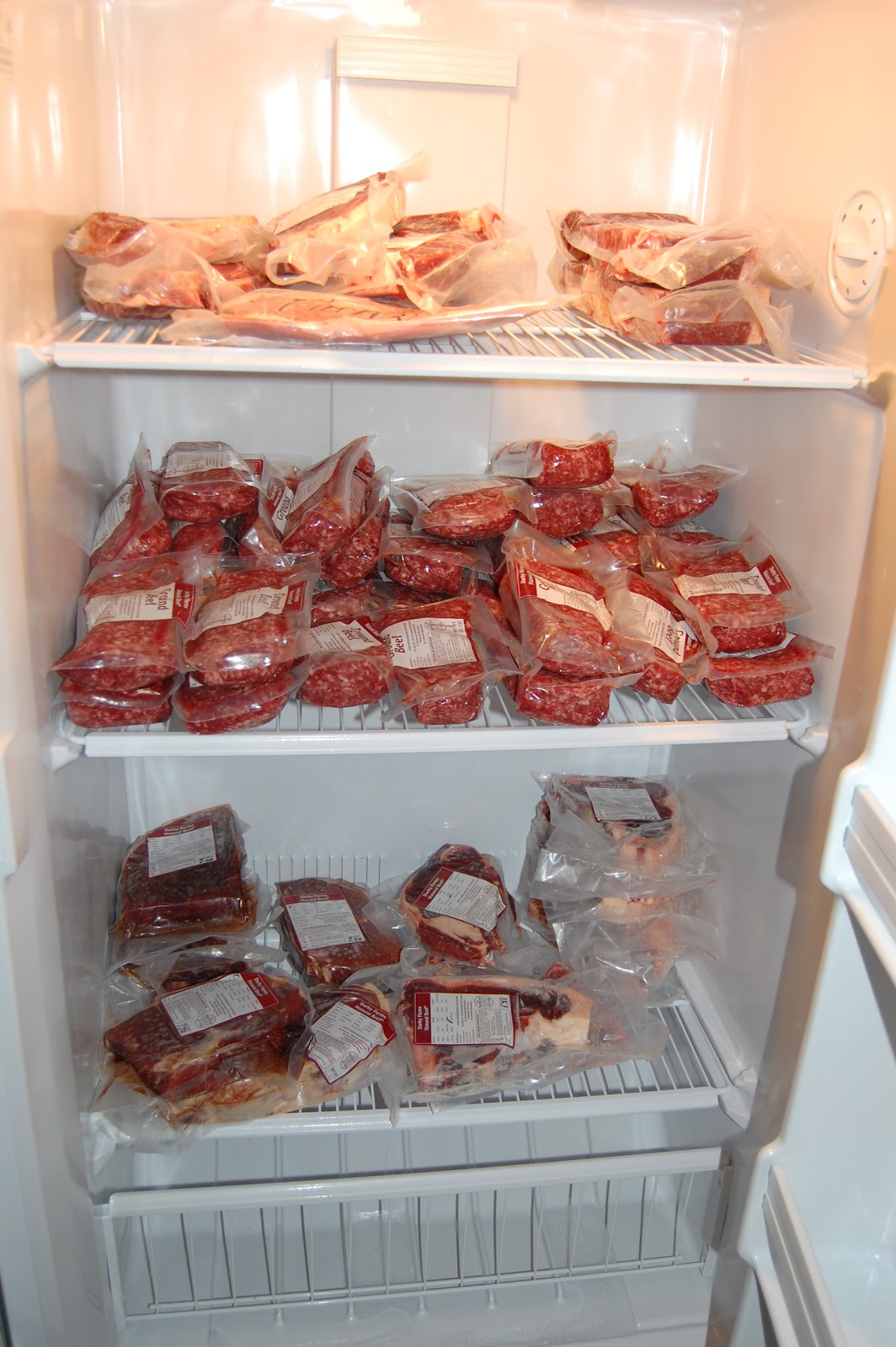 Diaperville A freezer full of meat!