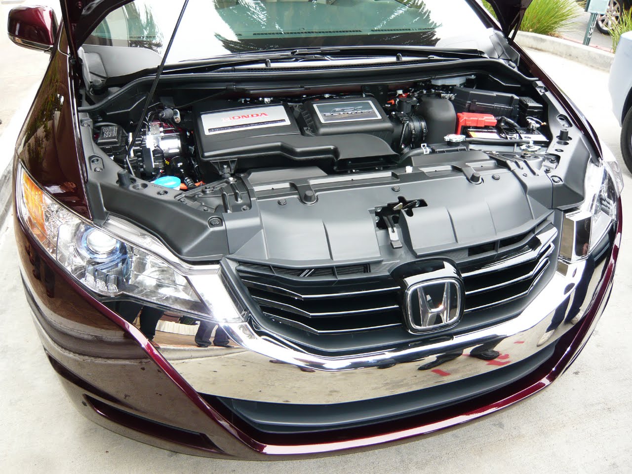 [forococheselectricos4.jpg]