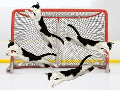 Image result for cat playing hockey