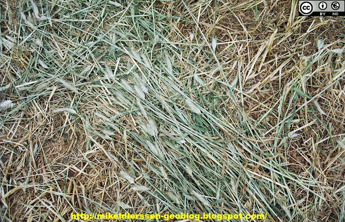 "CAMPO DE MALLORCA I"-Mallorca/Baleares/España