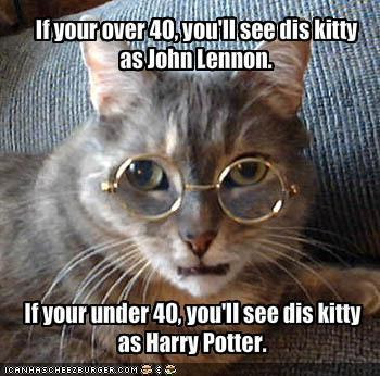 funny sayings with cats