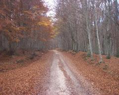 Verdi orizzonti La Signora del lago