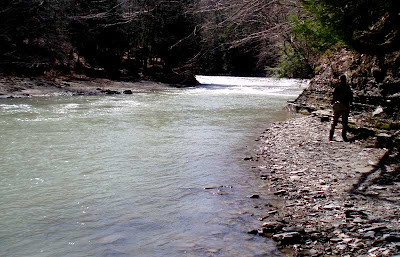 cattaraugus creek fishing fly