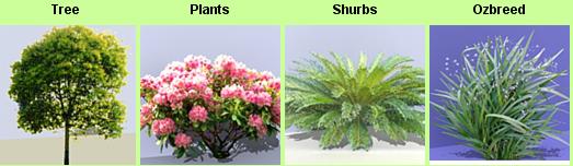 [Podium16tree.jpg]