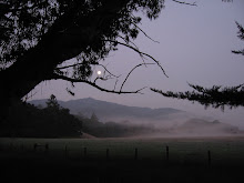 Olema, CA