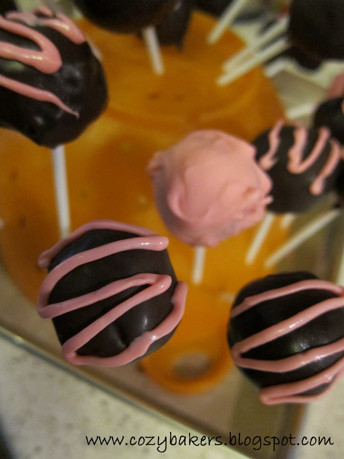 cozybakers Walnut Egg Yolk Sponge Cake Pops