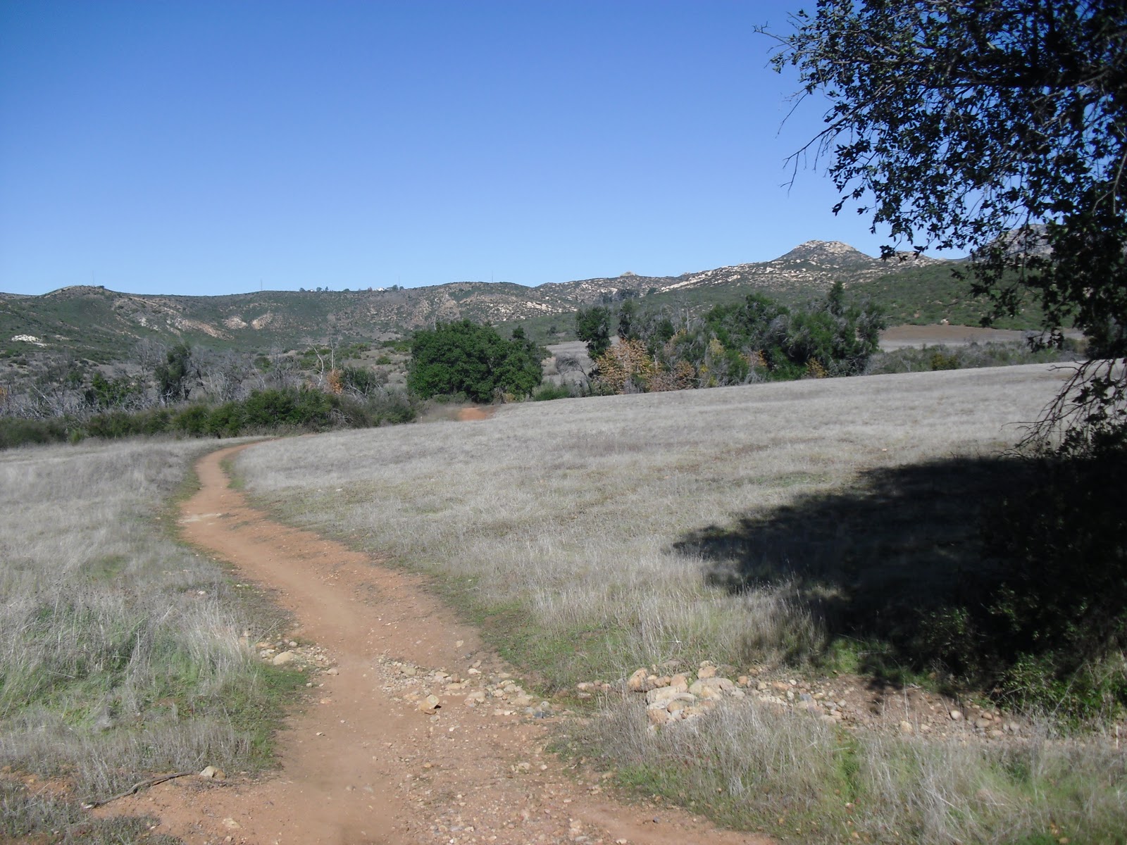 Walking Here and There!: Sycamore Canyon/Goodan Ranch Preserve (#44)
