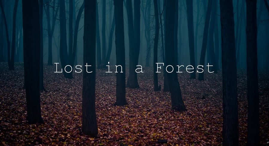 Lost in a Forest.