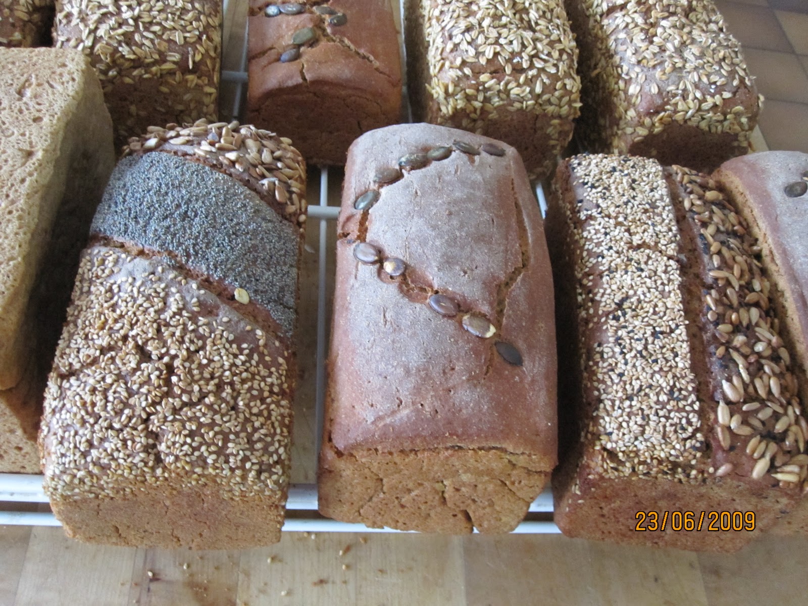 Vollwertblog: Das *immer geling* Brot (vegan)