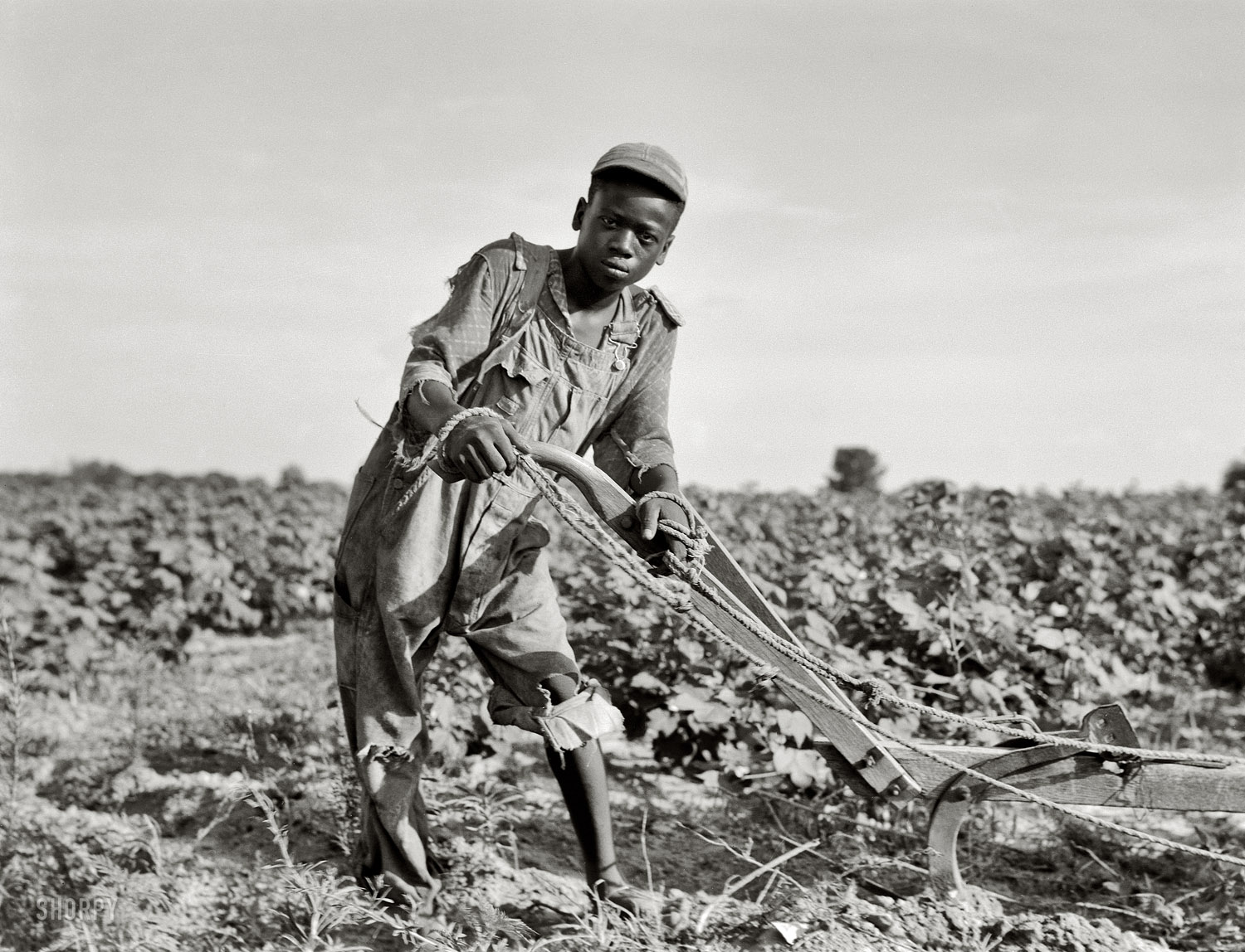 Dorothea+Lange+-+Americus+%281937%29.jpg