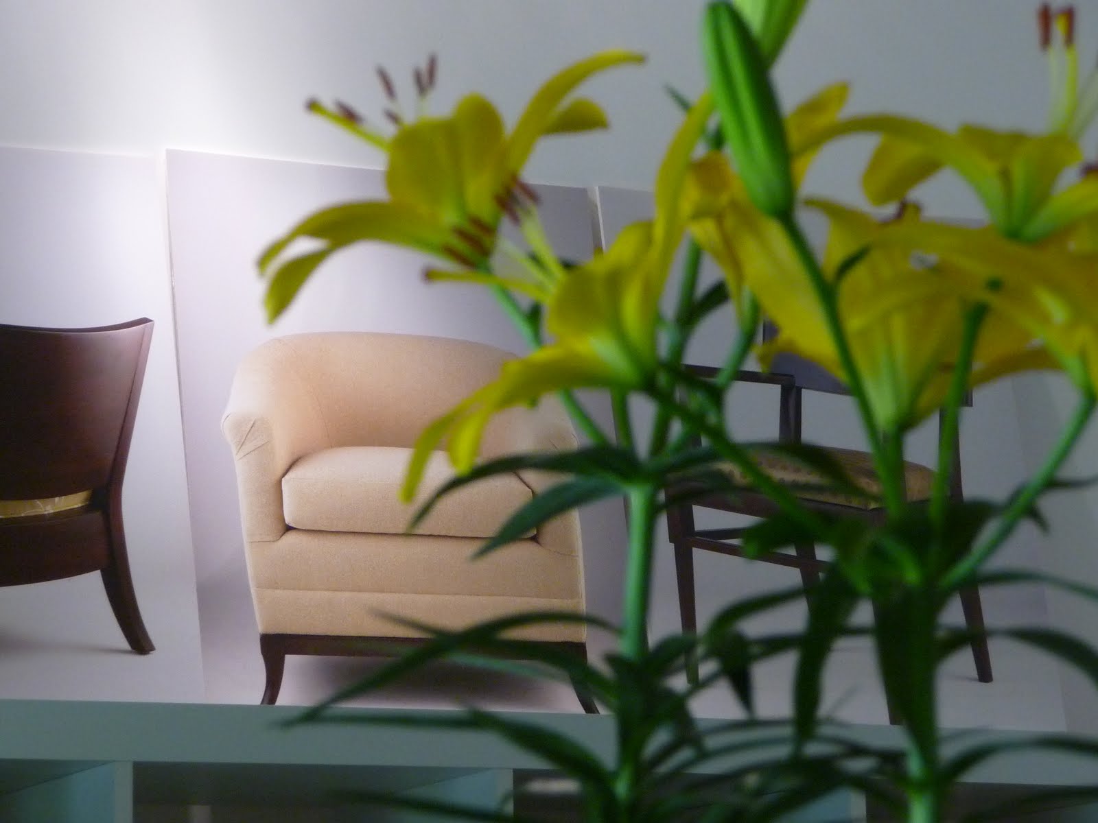 Square One Furniture flowers at the Square One studio