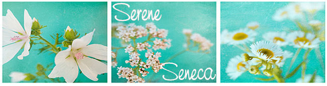 Serene Seneca