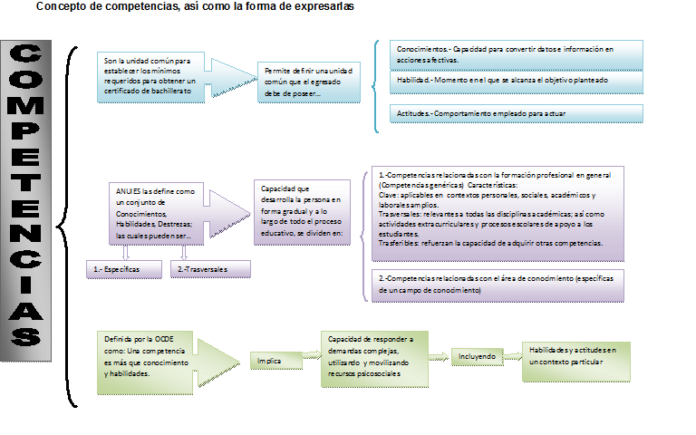 Riems educacion basada en competencias: COMPETENCIAS