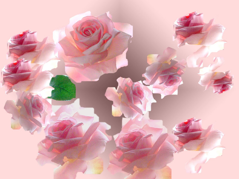 digital-pink-flowers-in-vase-3-7-copy1.j
