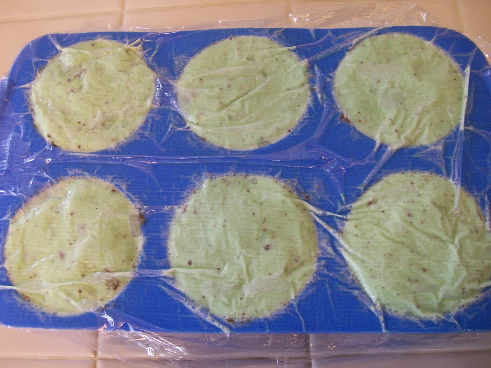 [Shellys+Protein+Ice+Cream+Cakette++3.JPG]