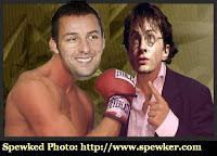 Doctored Phot of Adam Sandler and Daniel Radcliffe duking it out at the weekend box office