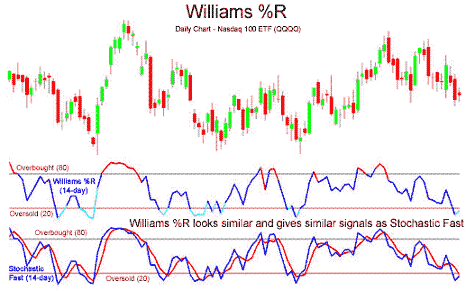 Williams r forex