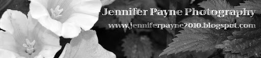 Jennifer Payne
