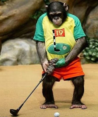 Funny Golf Photos on Case To Play Golf  I Just Love His T Shirt   19th Hole  All Class