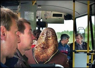 funny photo of alien on a bus just a head scarf of lion or chewbacca