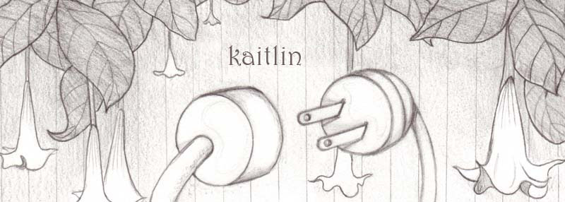 dust on the chalkboard