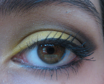 yellow+eye.jpg
