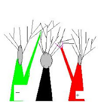 diagrammatic representation of cortical dipole with dendritic trees
