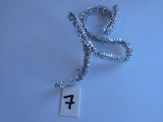 Silver-shine-07