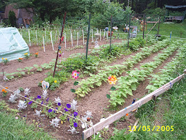 My Garden~2005
