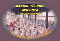 AVIPUNTA