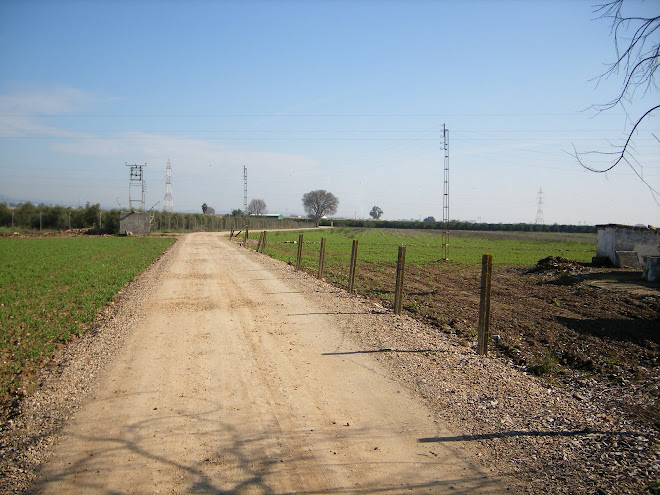 UN CAMINO EN EL HIGUERÓN - CÓRDOBA