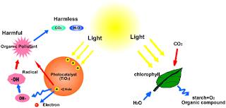 naturalscience: Fotokatalitik TiO2
