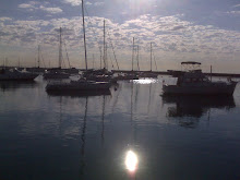 morning bright calm
