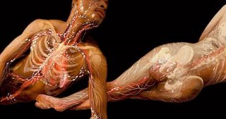 Resultado de imagem para SAÚDE E EQUILÍBRIO - 11 Formas de Melhorar o Funcionamento do Sistema Linfático