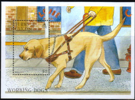 1996年タークス・カイコス諸島　ラブラドール・レトリーバーの切手シート