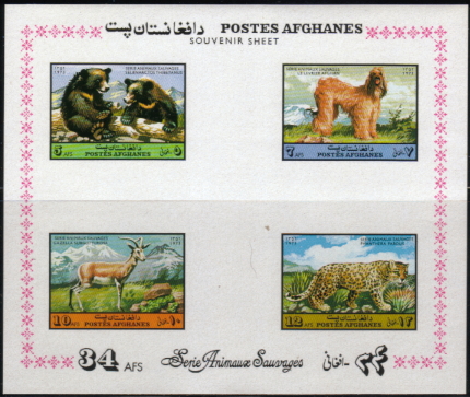 1974年アフガニスタン・イスラム国　アフガン・ハウンドの切手