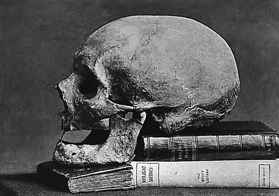 [Browne+Skull.jpg]