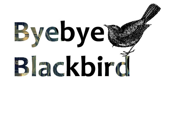 I ∇∇ BLACKBIRD