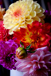 Our Colors