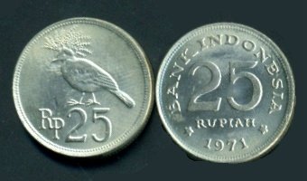 [25+nickel.JPG]