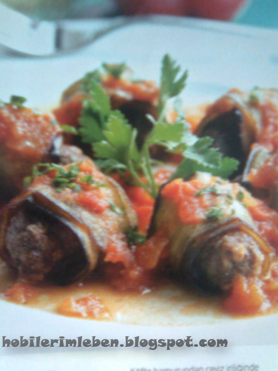 [GÃ¶rÃ¼ntÃ¼142.jpg]