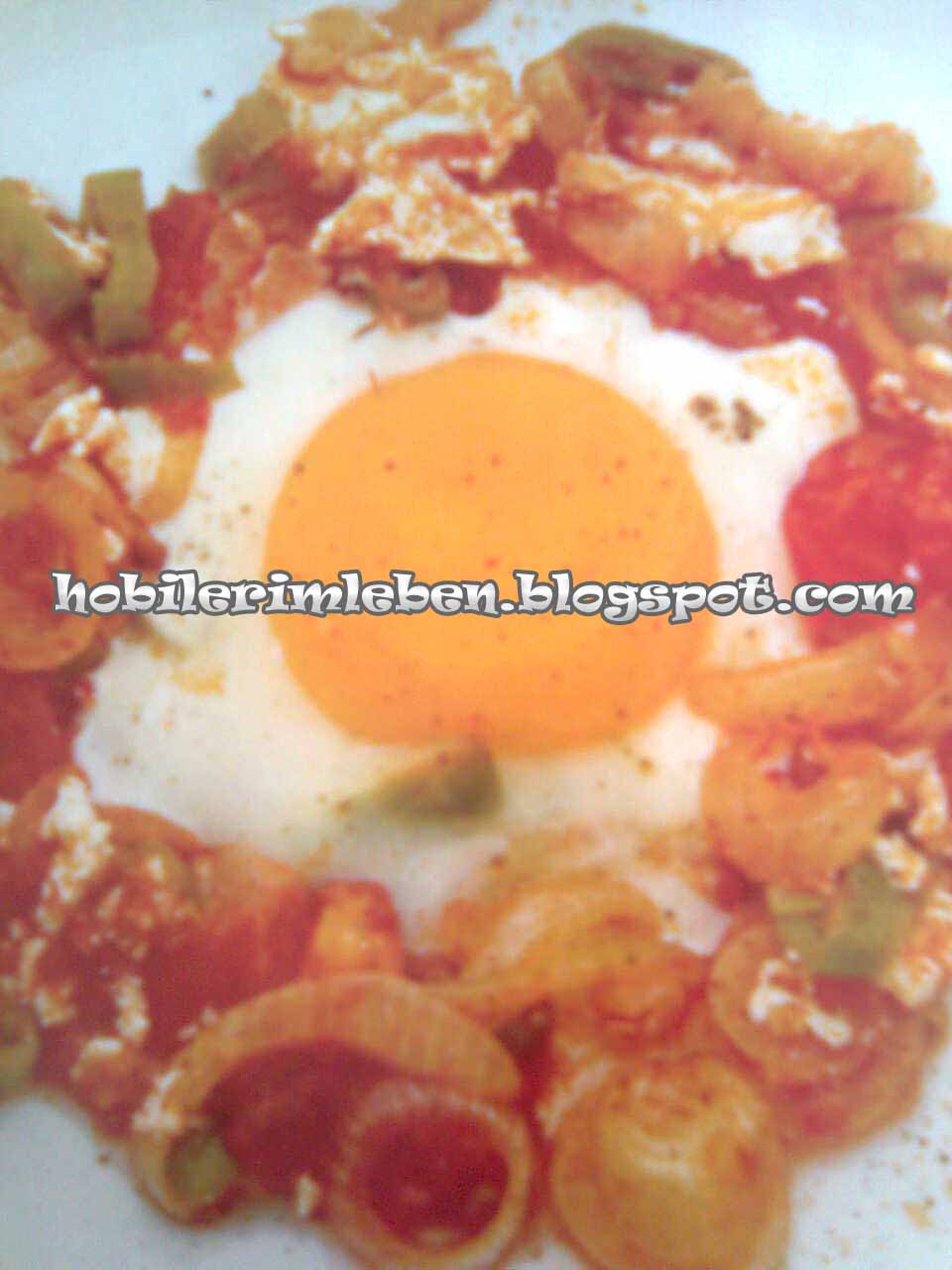 [GÃ¶rÃ¼ntÃ¼392.jpg]